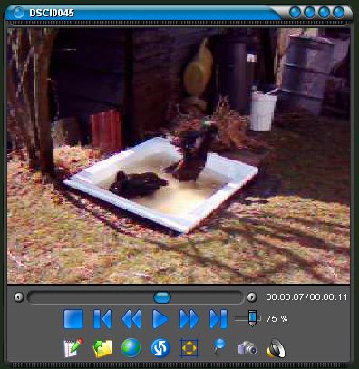 Flash FLV-Player - free download